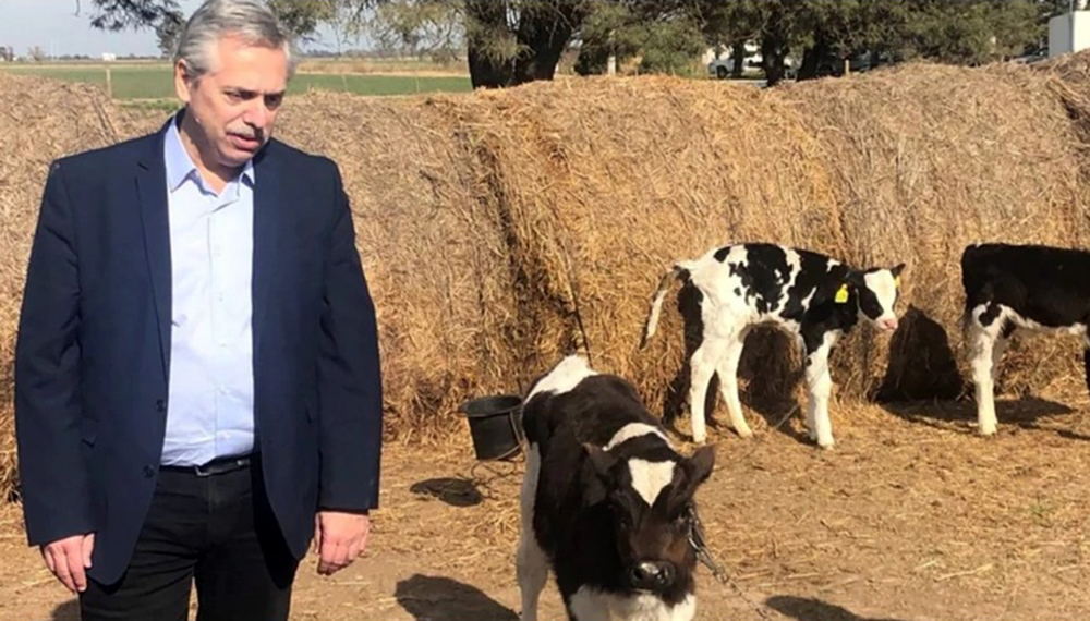 alberto-fernandez-vacas