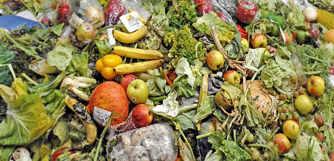 alimentos desechos