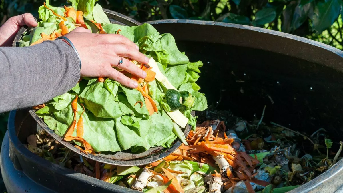 gaspillage-alimentaire-food-waste-bonduelle-1200x675-cropped