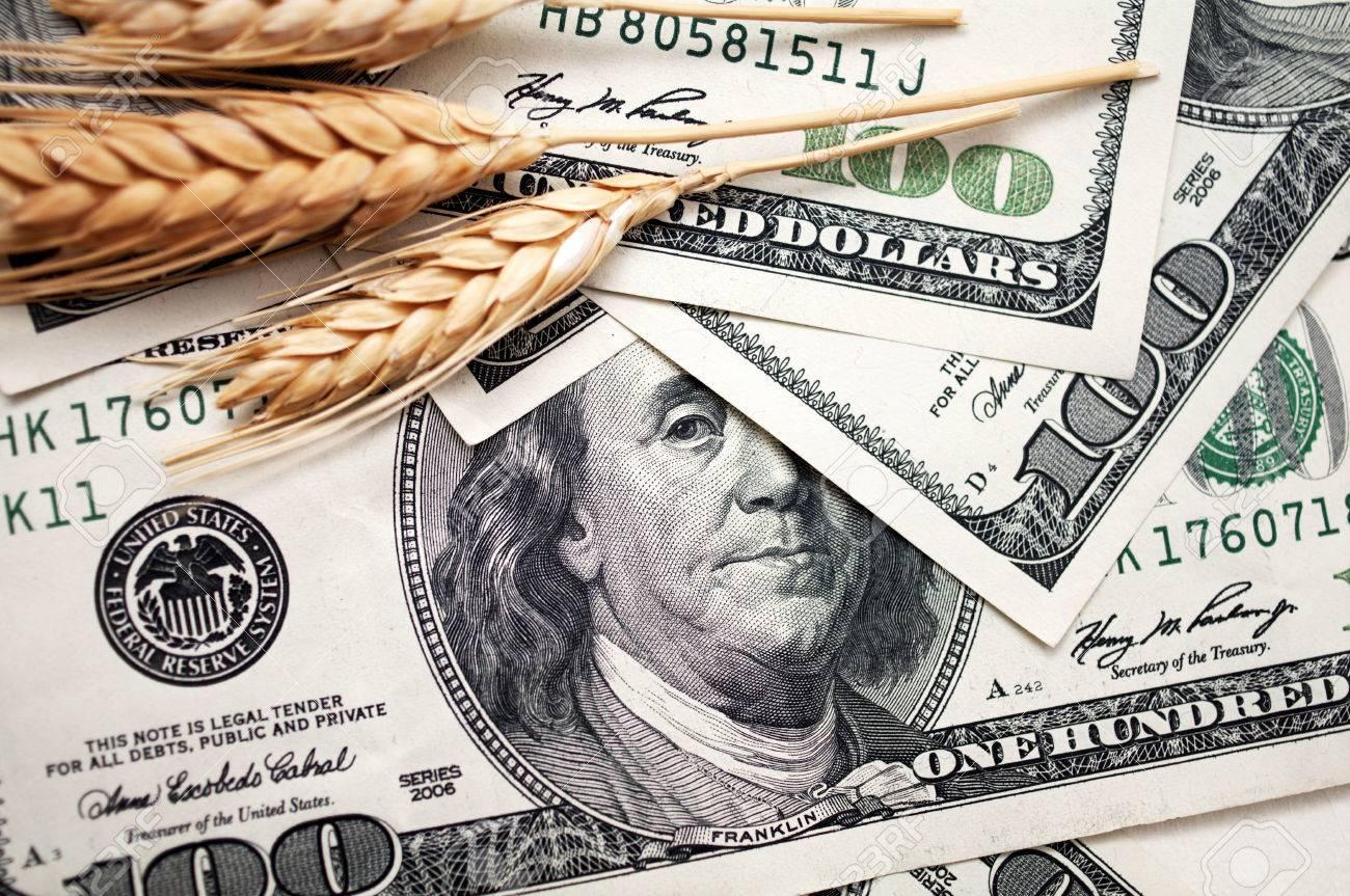 trigo dolar