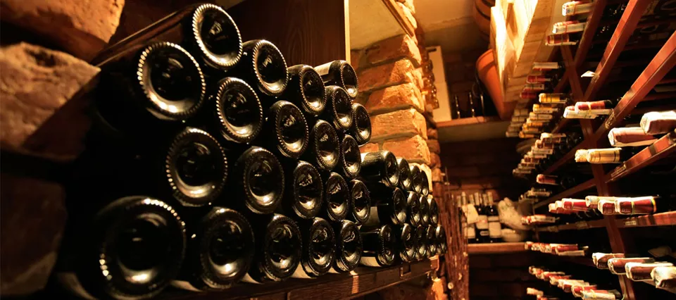 vinos