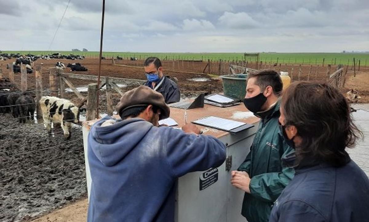 b2ap3_amp_fiscalizacion_argentina_agrofy_news_renatre